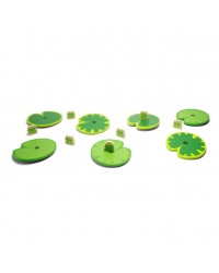 Caminho dos Nenúfares